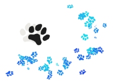 猫爪印简笔画|狼爪印猫爪印简笔画 狼爪图标-狼