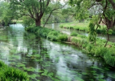 绿荫 小河道 漂亮 风景 自然风光 风景图片 摄影图片