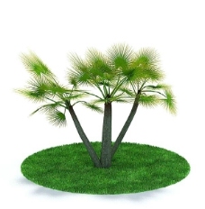 绿树3D精致绿色树木模型图片