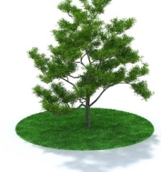 精美树木3d模型图片