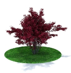 绿树精致绿色树木3D模型图片