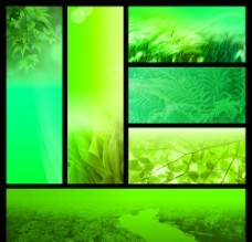 绿色背景图片