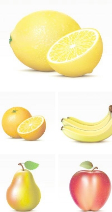 水果果实写实水果矢量素材图片