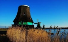 小麦荷兰渔村风车图片