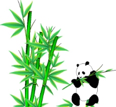 可爱熊猫吃竹图图片