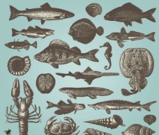 手绘素描海洋动物矢量素材图片