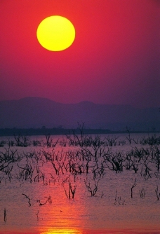 四季风情日出太阳河边水影图片