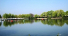 武汉墨水湖畔图片