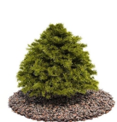 绿树3d绿色树木模型图片