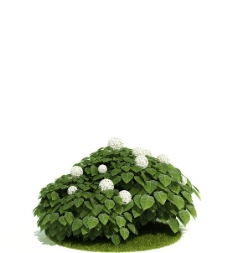 其他设计3D绿色植物模型图片