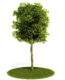 绿树3d绿色树木模型图片