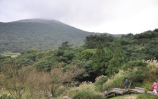 山景田野山水风景自然田野山树图片