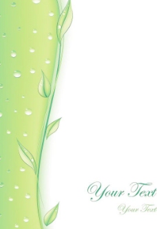 绿色底纹树叶水滴图片