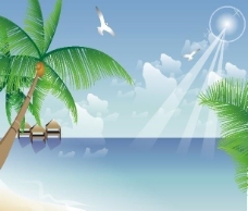 大自然椰树海滩图片