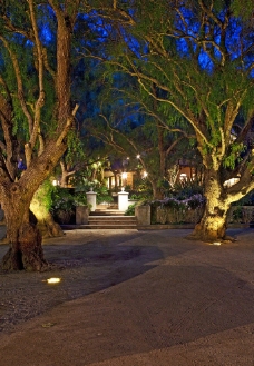 豪华别墅庄园里的花园夜景图片
