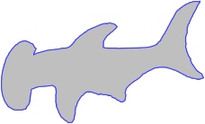海洋动物1660