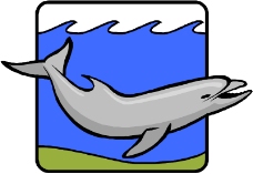 海洋动物0938
