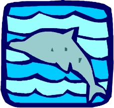 海洋动物1195
