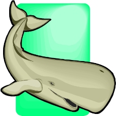 海洋动物1533