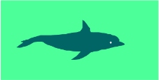 海洋动物2126