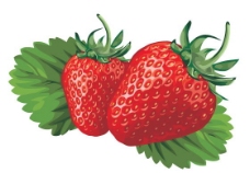 草莓矢量素材