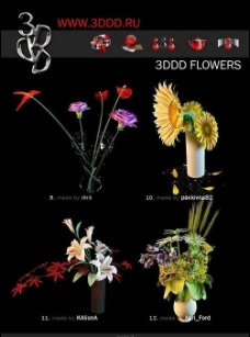3dddFlowers盆栽花卉max模型9一12图片