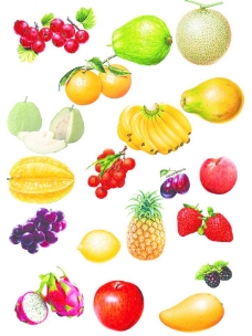 水果大全图片