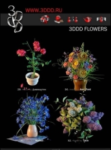 其他设计3dddFlowers盆栽花卉max模型图片