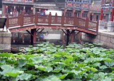 北京颐和园荷花池图片