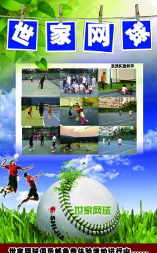 网球海报 宣传单 展板图片
