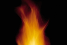 篝火火燃烧的火图片