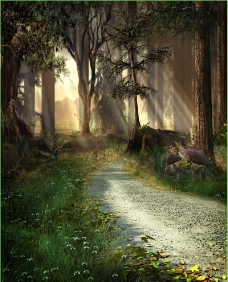 梦幻森林童话世界林间小路图片